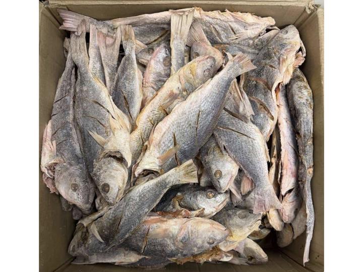 Dried Salted Fish